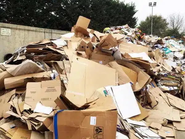 Recupero-carta-e-cartone-piacenza