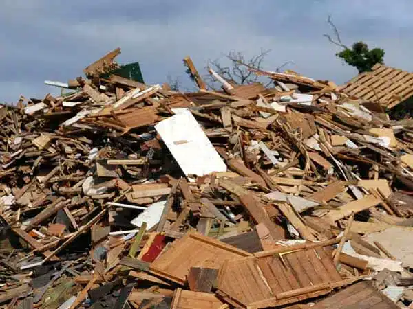 Salvaguardia-ambientale