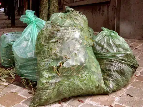 Smaltimento-rifiuti-vegetali-piacenza